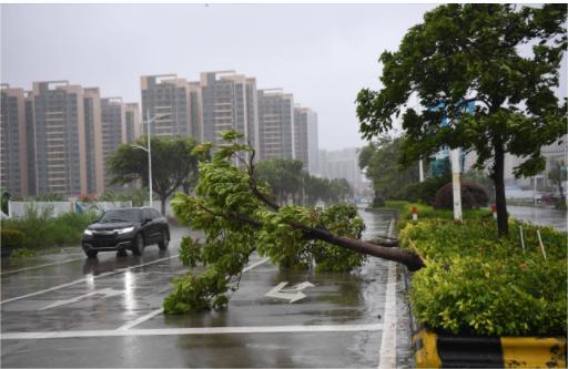 2023年台風「カヌ」